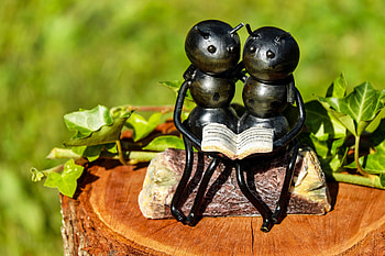 Insects, Miscellanea, Miscellaneous, Couple, Pair, Sculpture, Book, Bench, Ants HD wallpaper