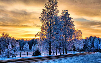 Golden Frost, snow, colors, trees, landscape, clouds, road, sky HD wallpaper