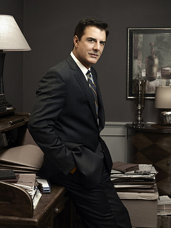 Chris Noth, TV Shows, Season 2 hoot, Peter Florrick HD phone wallpaper