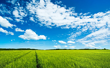Summer I, clouds, summer, sky, filed HD wallpaper