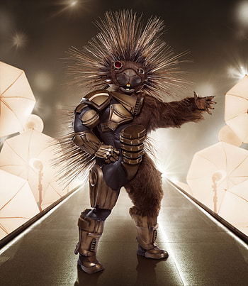 The Masked Singer season 5, Porcupine mask, Seashell mask, New masked characters HD phone wallpaper