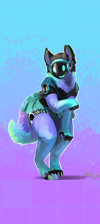 Furry, whiskers, organism HD phone wallpaper