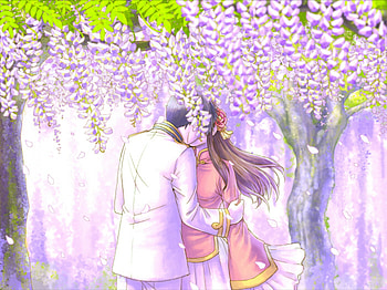 hetalia, purple, kiss, china, flower HD wallpaper