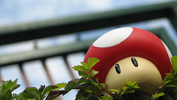 Toad, cartoons HD wallpaper