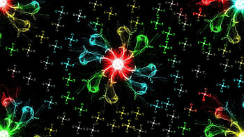 Abstract, Flowers, Patterns, Lines, Grid HD wallpaper