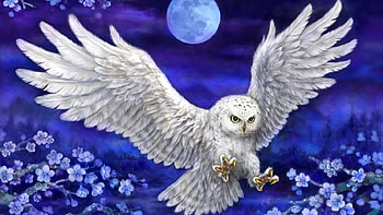 Eule, Mond, Deutschland, Blau HD wallpaper