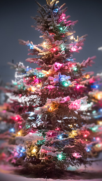 Christmas Lights, Festive ambiance, Sparkling decorations, Holiday cheer HD phone wallpaper