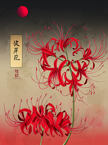 Anime Red Spider Lily , Higanbana HD phone wallpaper