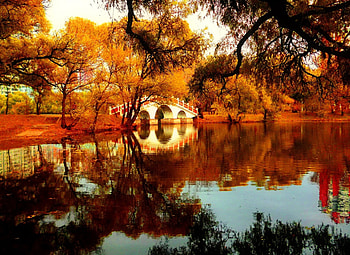 Autumn bridge, fall, beautiful, lake, park, reflection, bridge, trees, autumn, nature, foliage HD wallpaper