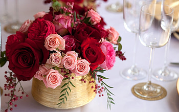 Plants, Flowers, Roses, Bouquets HD wallpaper