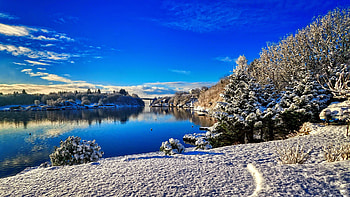 Winter lake, winter, frost, reflection, snow, landscape, trees, beautiful, lake HD wallpaper