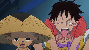 Chopper & Luffy, Anime, One Piece, Tony Tony Chopper, Monkey D. Luffy HD wallpaper