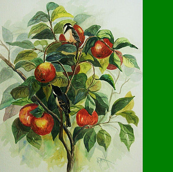 My little chickadee by Marilyn Smith, manzana, mere, painting, pictura, rosu, copac, bird, art, frunze, leag, verde, tree, marilyn smith, pajaro, rojo, green, red, apple, pasari HD wallpaper
