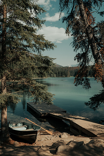 Nature, Trees, Lake, Shore, Bank, Pier, Boat HD phone wallpaper