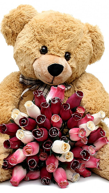 Teddy Bear Ke, Roses, Teddy Bear HD phone wallpaper