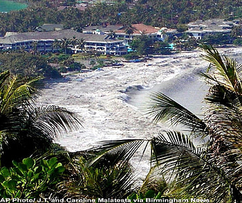 Tsunami 2004, trees, water, death, beach HD wallpaper