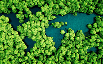 Amazon Rain Forest, Rainforest themes, Windows 10 , Amazonian beauty HD wallpaper