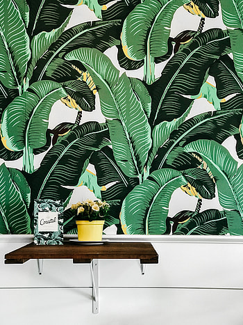 Interior, Miscellanea, Miscellaneous, Wall, Design, Shelf HD phone wallpaper