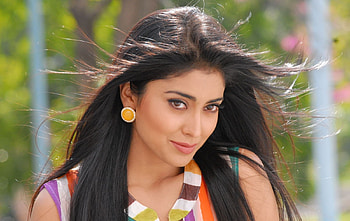 Shriya Saran, Celebrity HD wallpaper