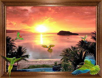 Paradise land of colorful parrots, sea, paradise, colors, parrots HD wallpaper