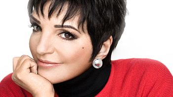 Liza Minnelli, Multi-talented artist, Music, Acting, Singing HD wallpaper
