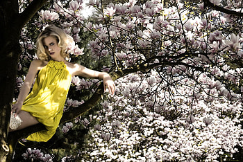 Yellow dress, girl, model, dress, yellow HD wallpaper
