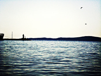 sunny day in port, sea, lighthouse, sealight, sky, port, sunny day, seagulls HD wallpaper