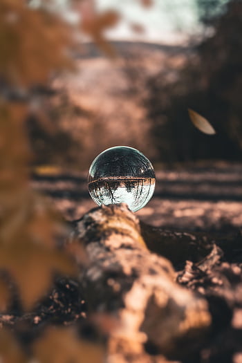 Lensball capturing an upside-down autumn landscape in Manchester forest. HD phone wallpaper