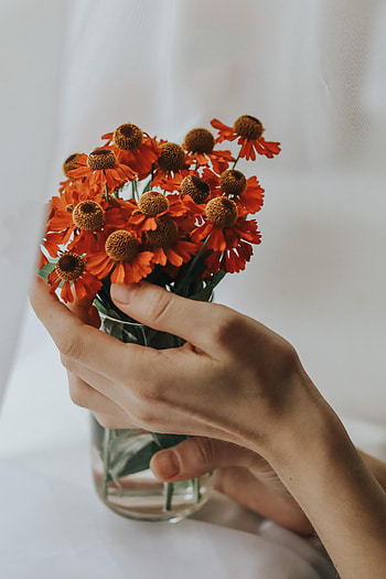 Flowers, Hand, Bouquet, Cloth, Fingers HD phone wallpaper