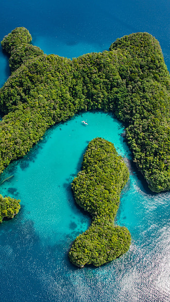 Philippine nature, Ultra HD phone wallpaper
