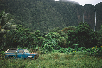 Trees, Mountains, Cars, Car, Journey HD wallpaper