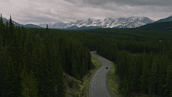 nature, TV Show, The Last Of Us HD wallpaper