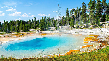 Yellowstone National Park, Geyser wonder, Nature's , Wyoming's beauty HD wallpaper