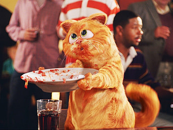 Garfild, Cinema, Funny, Animals, Cats HD wallpaper
