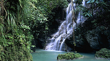 Nature, Leaves, Waterfall, Vegetation, Greens, Moss, Gorge HD wallpaper