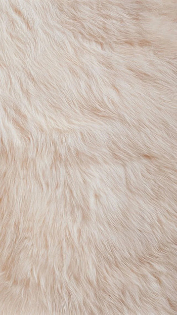 Fur , Cozy textures, Warm and fuzzy, Comfortable backgrounds HD phone wallpaper