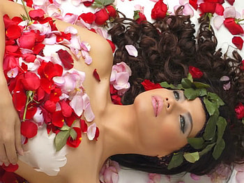 Rose petals, pink, dark hair, red, woman, beauty HD wallpaper