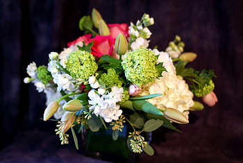 Flowers, Tulips, Registration, Typography, Buds, Composition, Hydrangea HD wallpaper