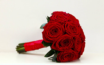 Red roses, bouquet, roses, red, flower HD wallpaper