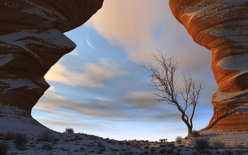 Nature, Sky, Canyon, Snow, Wood, Tree, Gorge HD wallpaper