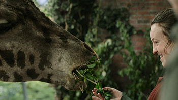 BellaRamsey, Bella Ramsey HD wallpaper