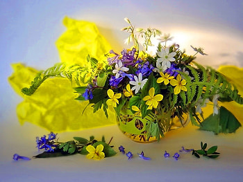 Still life, pretty, yellow, beautiful, flowers, lovely, harmony, nice HD wallpaper