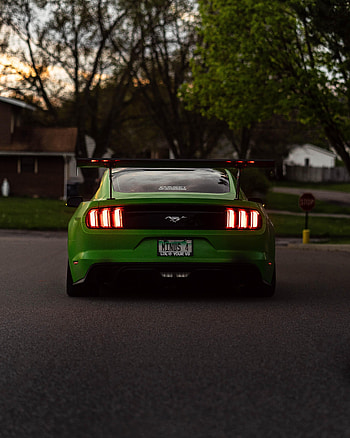 Cars, Car, Back View, Rear View, Ford Mustang HD phone wallpaper