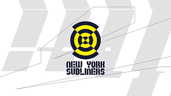 New York Subliners, Gaming, Epic gameplay, Professional teams HD wallpaper