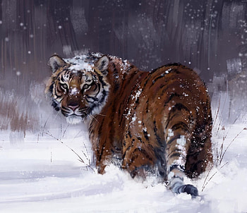 Tiger, iarna, winter, animal, art, snow, tigru, natalie HD wallpaper