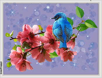BIRD AND BLOSSOMS, ART, CREATION, ABSTRACT HD wallpaper