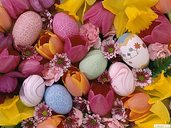 Plants, Flowers, Background, Eggs, Easter HD wallpaper