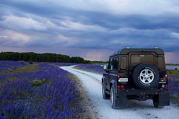 Exploring a scenic dirt road in Gotland, Sweden with vibrant wildflowers and dramatic skies. HD wallpaper