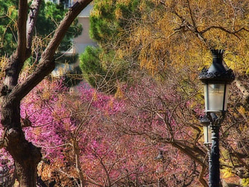 Spring colours, colours, spring HD wallpaper