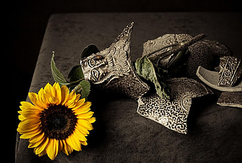 Flowers, Vase, Sunflower, Shards, Smithereens HD wallpaper